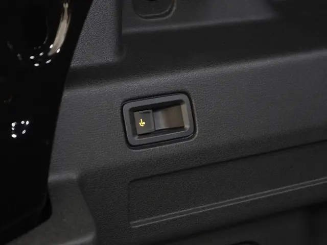 Volkswagen ID. Buzz Cargo