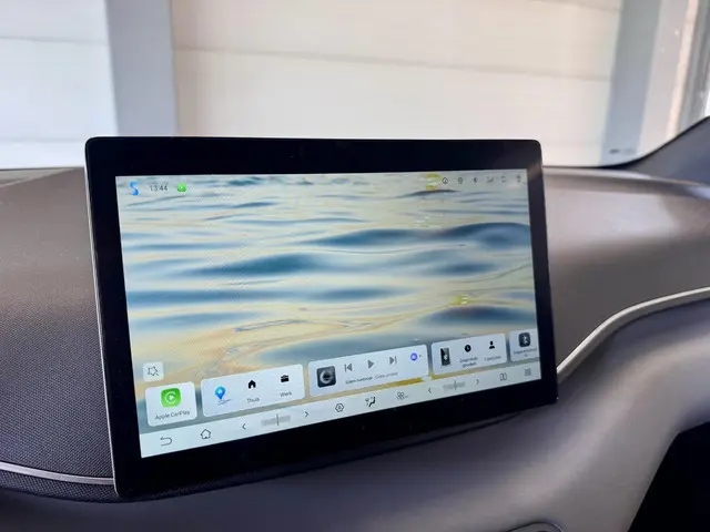 BYD DOLPHIN SURF