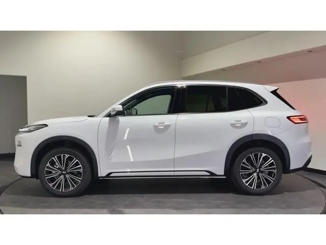 Geely Starray EM-i