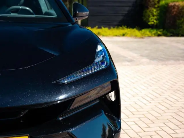 Lotus Eletre